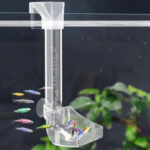 Feeding Ring with Dish WH-601 - Image 3