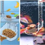 Feeding Ring with Dish WH-601 - Image 4