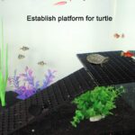 Egg Crates (Pack of 4) 30cm/15cm - Image 4