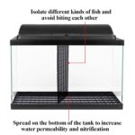 Egg Crates (Pack of 4) 30cm/15cm - Image 8