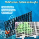 Egg Crates (Pack of 4) 30cm/15cm - Image 5