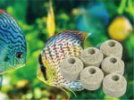 Maxspect Nano Tech Ca/Mg Infused Biosphere 1kg (Freshwater) - Image 3